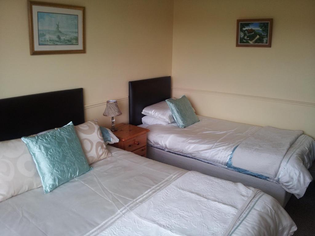 Tir Na Nog B&B Кашел Екстериор снимка
